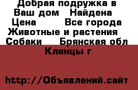 Добрая подружка,в Ваш дом!!!Найдена › Цена ­ 10 - Все города Животные и растения » Собаки   . Брянская обл.,Клинцы г.